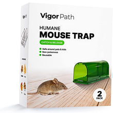 Load image into Gallery viewer, Humane Mouse Trap - Reusable and Eco-Friendly - Catch and Release Mouse Trap (Green)
